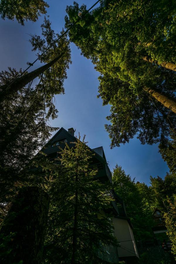 Hotel Smart Sinaia Eksteriør billede