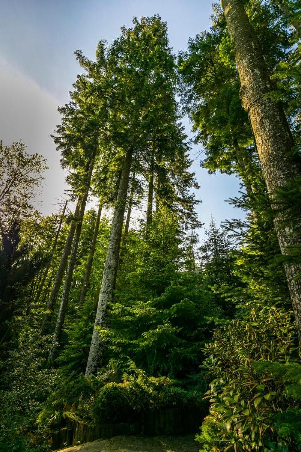 Hotel Smart Sinaia Eksteriør billede