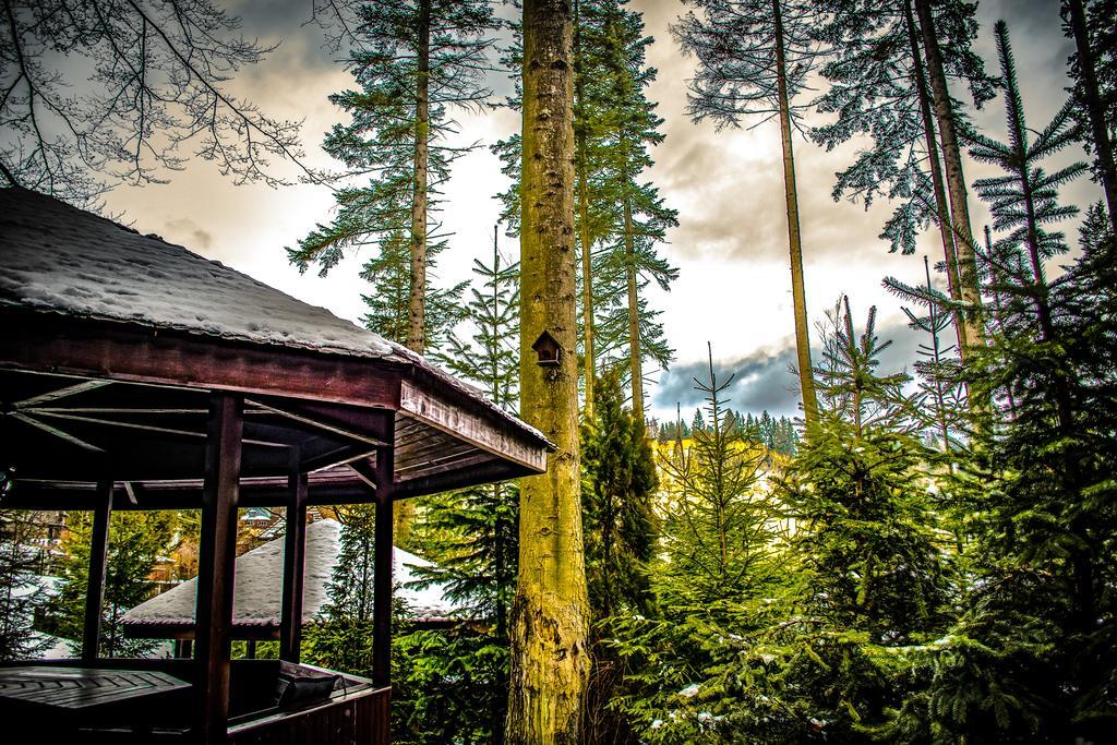 Hotel Smart Sinaia Eksteriør billede